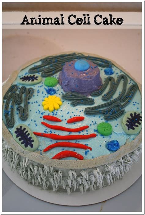 Science Of Cakes   Wordless Wednesday The Science Of Cake Doughmesstic - Science Of Cakes