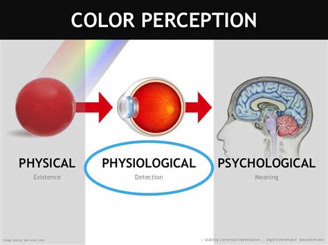 Science Of Colour Hue And Eye Nature Science Of Colours - Science Of Colours