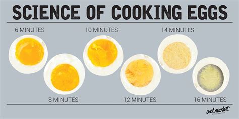 Science Of Cooking With Eggs Eggs Science - Eggs Science