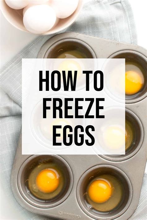 Science Of Egg Freezing Eggfreezing Com Science Egg - Science Egg