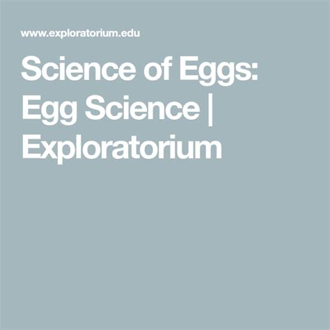Science Of Eggs Egg Science Exploratorium Science Eggs - Science Eggs