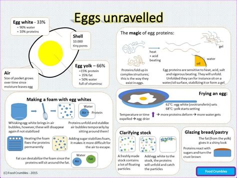 Science Of Eggs Explained In One Image Infographic Science Eggs - Science Eggs