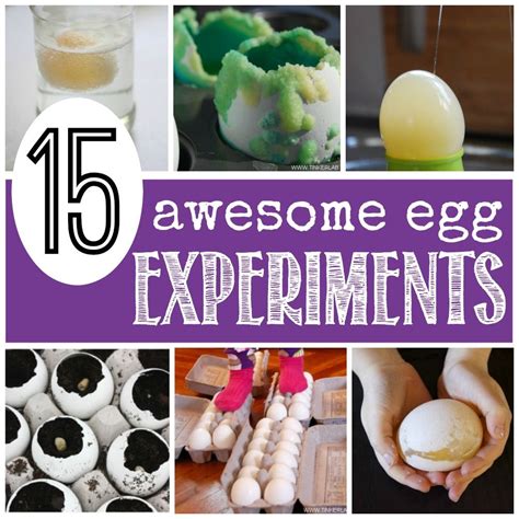 Science Of Eggs Kitchen Lab Exploratorium Science Eggs - Science Eggs