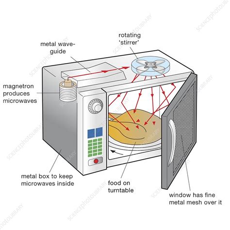 Science Of Microwave Ovens Science Microwaves - Science Microwaves