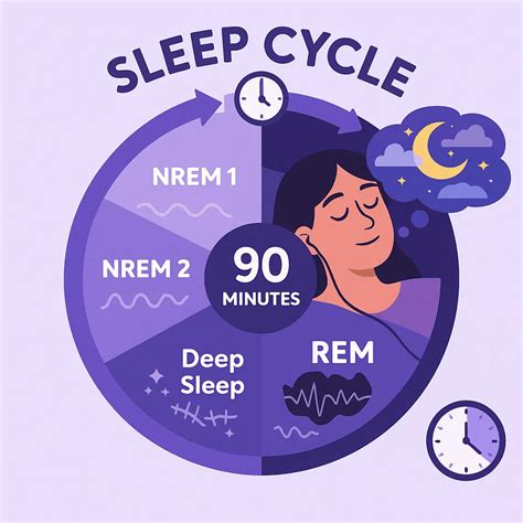 Science Of Sleep