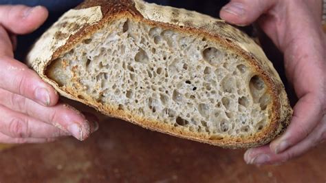 Science Of Sourdough Bread   Unmasking The Secrets Of Sourdough Bread - Science Of Sourdough Bread