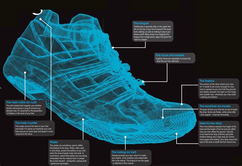 Science Of Sports Shoes The Science Behind Sports Shoes Science - Shoes Science