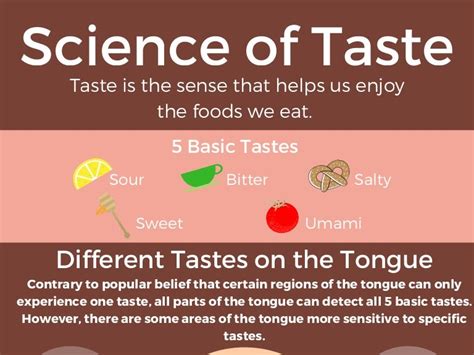 Science Of Taste Exploring The Philosophy Of Food Science Of Taste - Science Of Taste