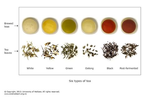Science Of Tea   Tea Science The Tea Stylist - Science Of Tea