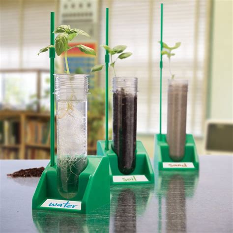 Science Project Experiment With Hydroponics Use Seedlings Started Hydroponics Science Experiment - Hydroponics Science Experiment