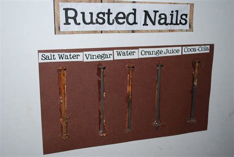 Science Project On Nails That Rust Sciencing Nail Rusting Science Experiment - Nail Rusting Science Experiment
