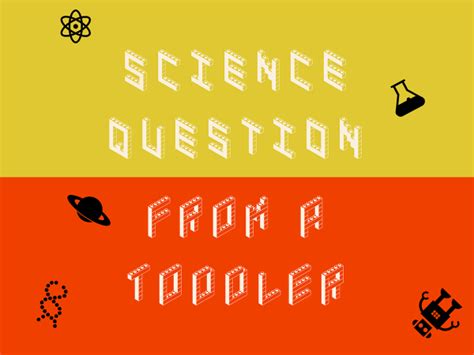 Science Question From A Toddler Fivethirtyeight Science Toddlers - Science Toddlers