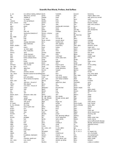 Science Root Words Prefixes And Suffixes Science Root Word - Science Root Word