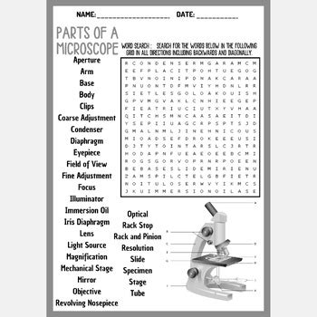 Science Spot Microscope Word Search Answers