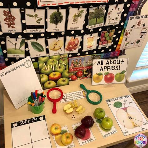 Science Table For Preschool   Set Up A Preschool Nature Table Little Bins - Science Table For Preschool