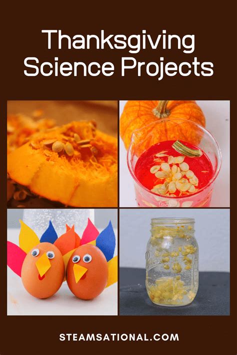 Science Thanksgiving   Simple Thanksgiving Science Experiments For The Elementary - Science Thanksgiving