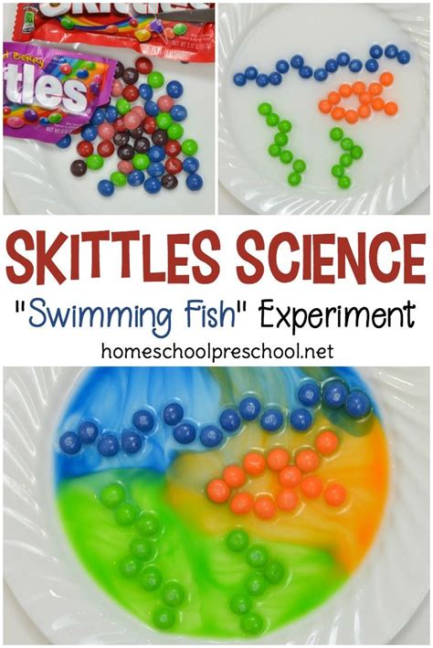 Science Themed Candy   Ocean Themed Skittles Candy Science Experiment For Summer - Science Themed Candy