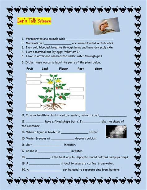 Science Worksheet For Class 4