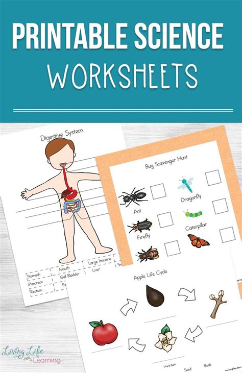 Science Worksheets For Kids Science Packets - Science Packets