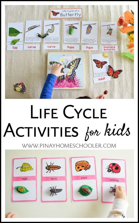 Science Worksheets For Preschoolers Life Science Activities For Preschoolers - Life Science Activities For Preschoolers