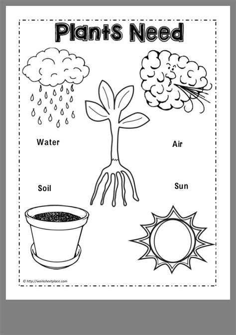 Science Worksheets For Preschoolers Science Worksheets For Preschool - Science Worksheets For Preschool