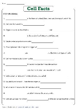 Science Worksheets Theworksheets Com Science For 1st Grade Worksheets - Science For 1st Grade Worksheets
