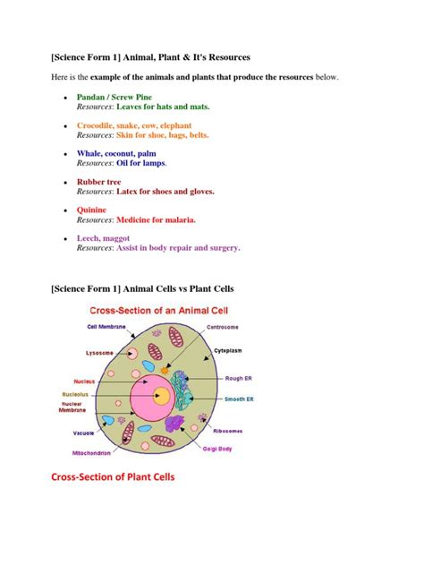 Full Download Science Form 1 Notes 