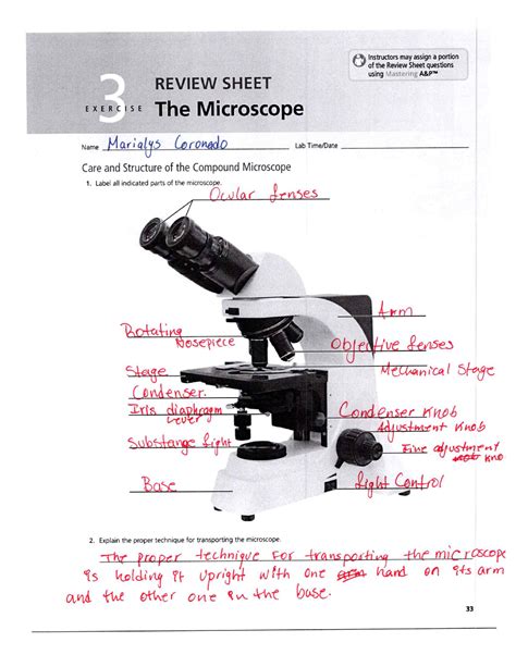 Read Science Light Microscope Answer Key Sqlman 