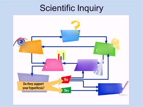 Scientific Inquiry Flashcards Quizlet Scientific Inquiry Worksheet Answer Key - Scientific Inquiry Worksheet Answer Key