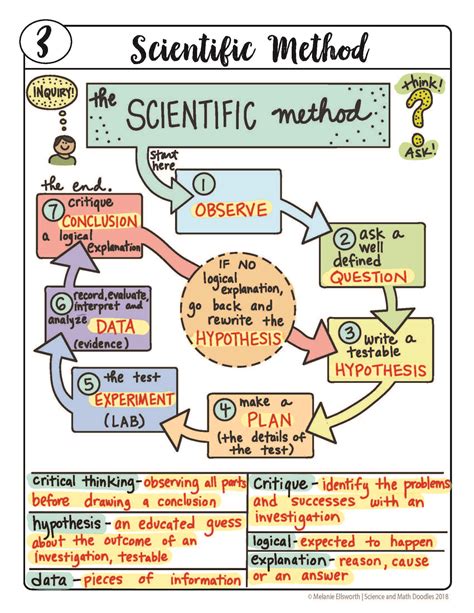 scientific method examples middle school