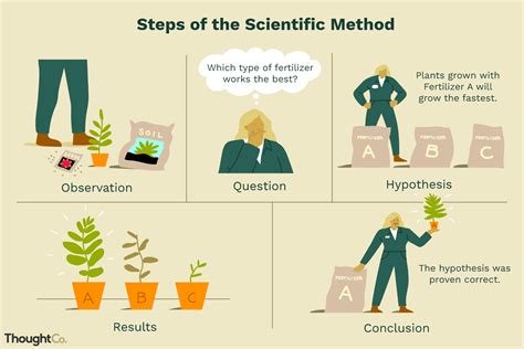 Scientific Method Scenarios Examples For Middle School