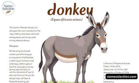 Scientific Name Of Donkey