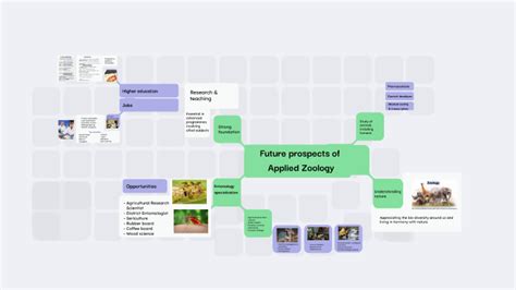 Featured Content