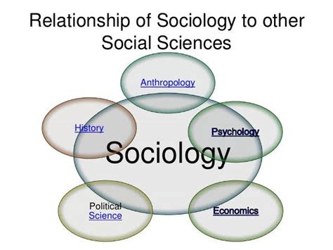 Scope Of Sociology