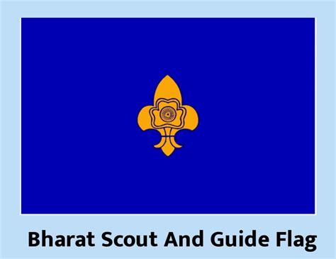 Scout Guide Flag