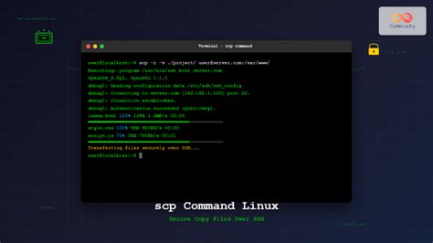 scp windows to linux command line
