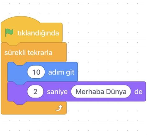 scratch tutorial Bilişim Hocam.