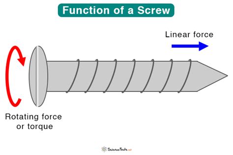 Screw Definition