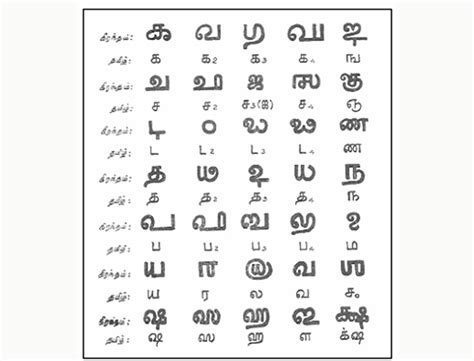 Script Of Tamil Language