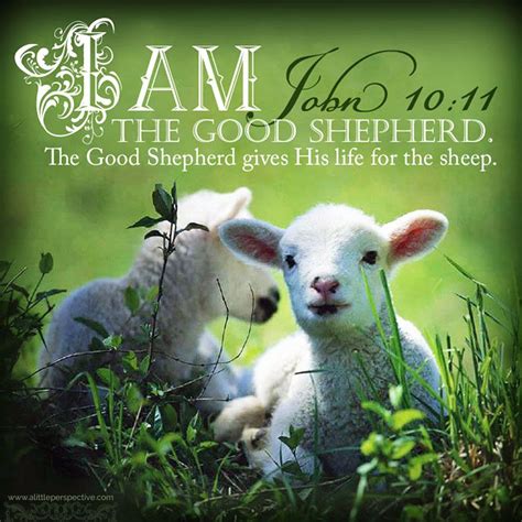 Scripture About Animals