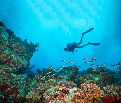 scuba nude