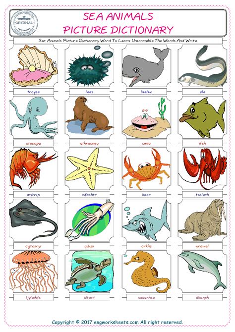 Sea Animals Esl Vocabulary Worksheets Sea Animals Worksheet - Sea Animals Worksheet