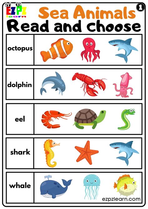 sea animals worksheet