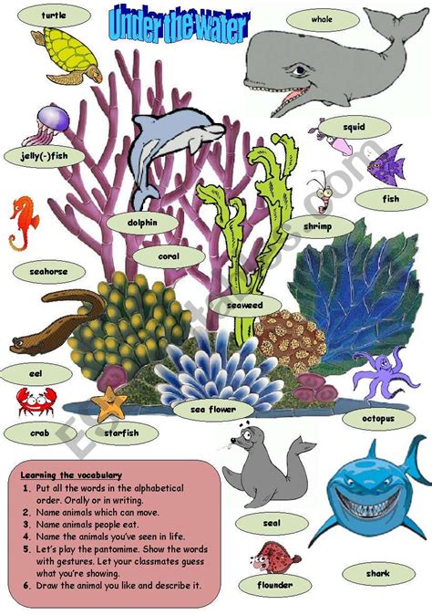 Sea Animals Worksheet   Sea Animals Esl Vocabulary Worksheets - Sea Animals Worksheet