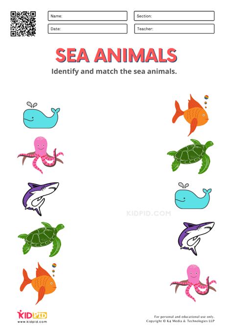 Sea Animals Worksheets For Kindergarten Kidpid Kindergarten Sea Animal Worksheet  - Kindergarten Sea Animal Worksheet`