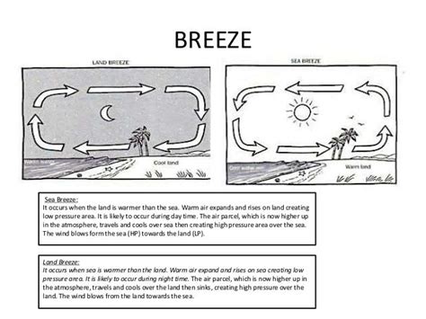 Sea Breeze And Land Breeze Worksheet   Clouds Wind Amp Weather Packet Homeschool Den - Sea Breeze And Land Breeze Worksheet