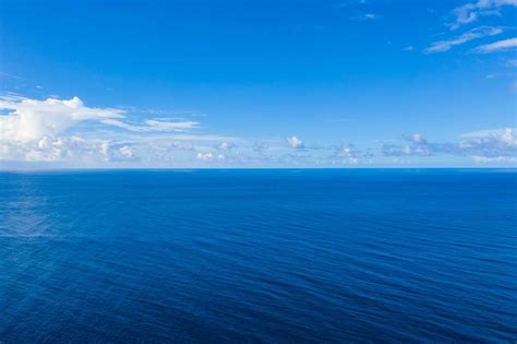 Sea Of Blue