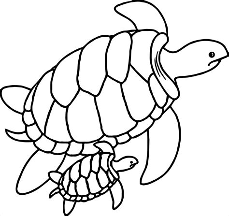 Sea Turtle Coloring Page Easy Drawing Guides Sea Turtle Color Sheet - Sea Turtle Color Sheet
