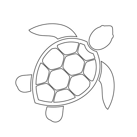 Sea Turtles Free Printable Templates Amp Coloring Pages Sea Turtle Color Sheet - Sea Turtle Color Sheet