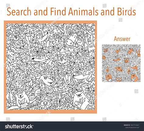 search and find animals